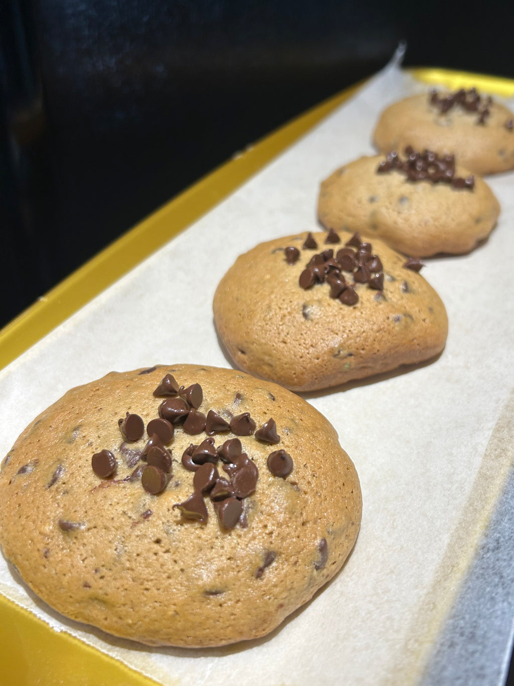 Chocolate Chip Cookie 🍪