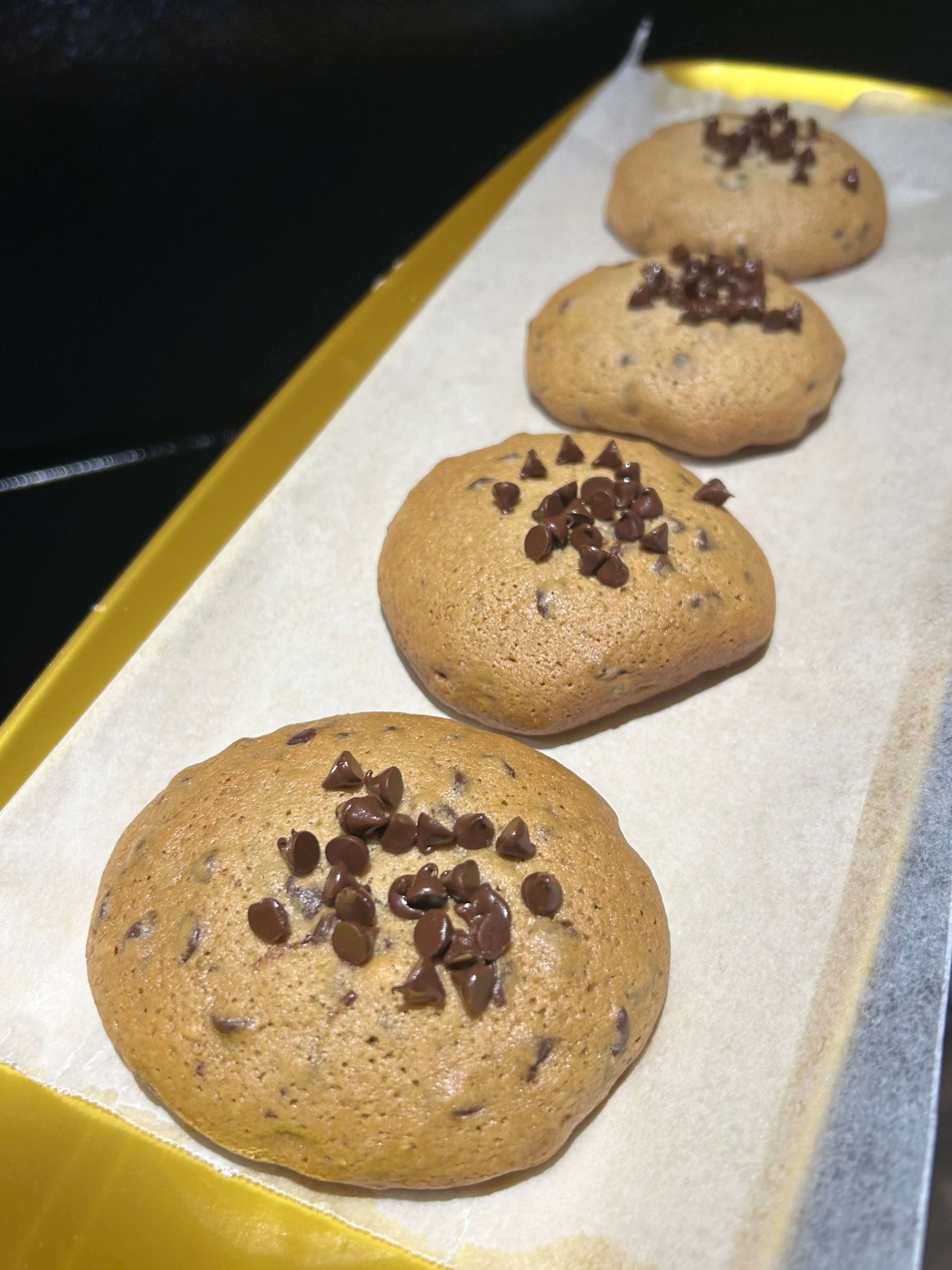 Chocolate Chip Cookie 🍪