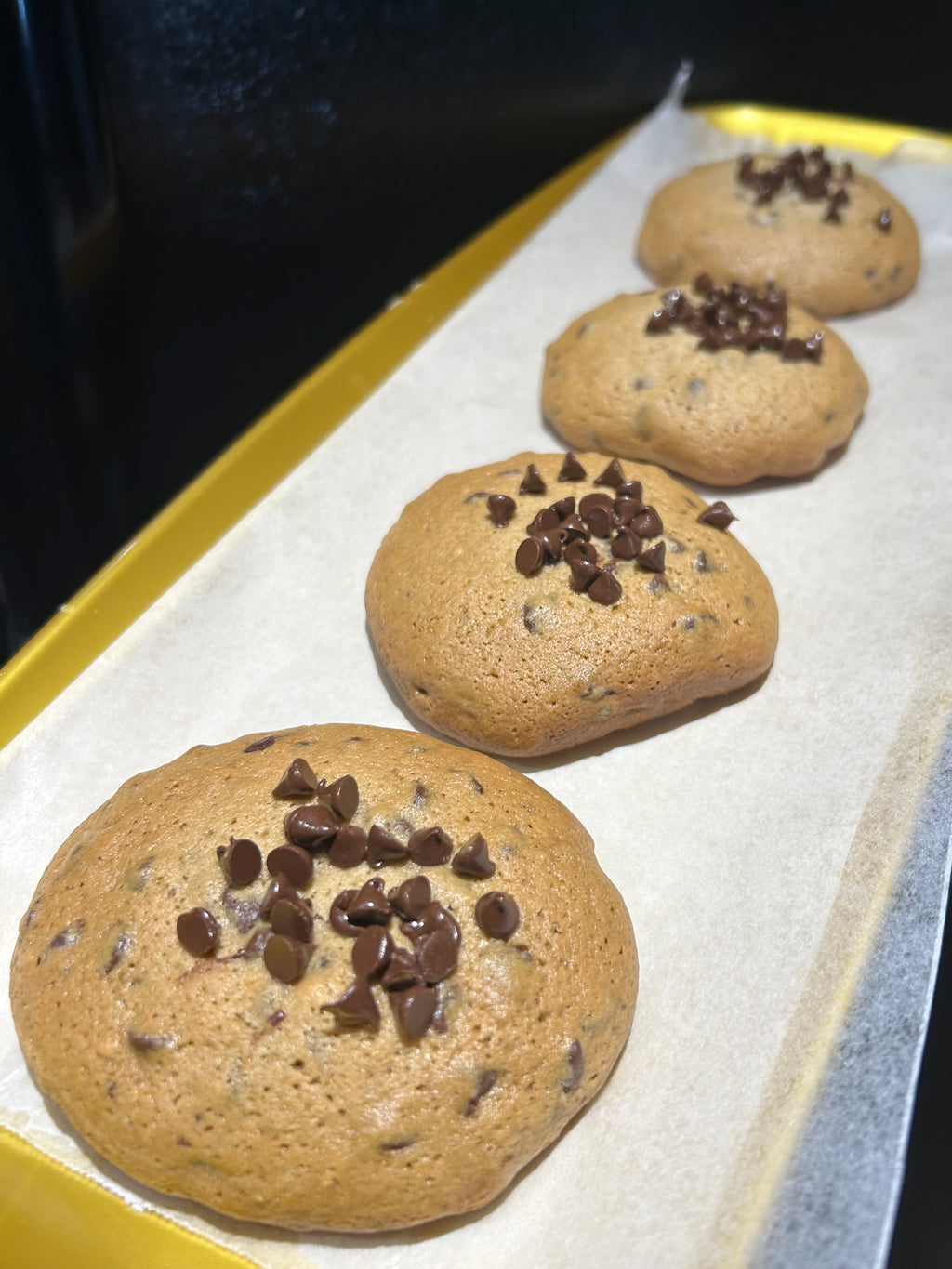 Chocolate Chip Cookie 🍪