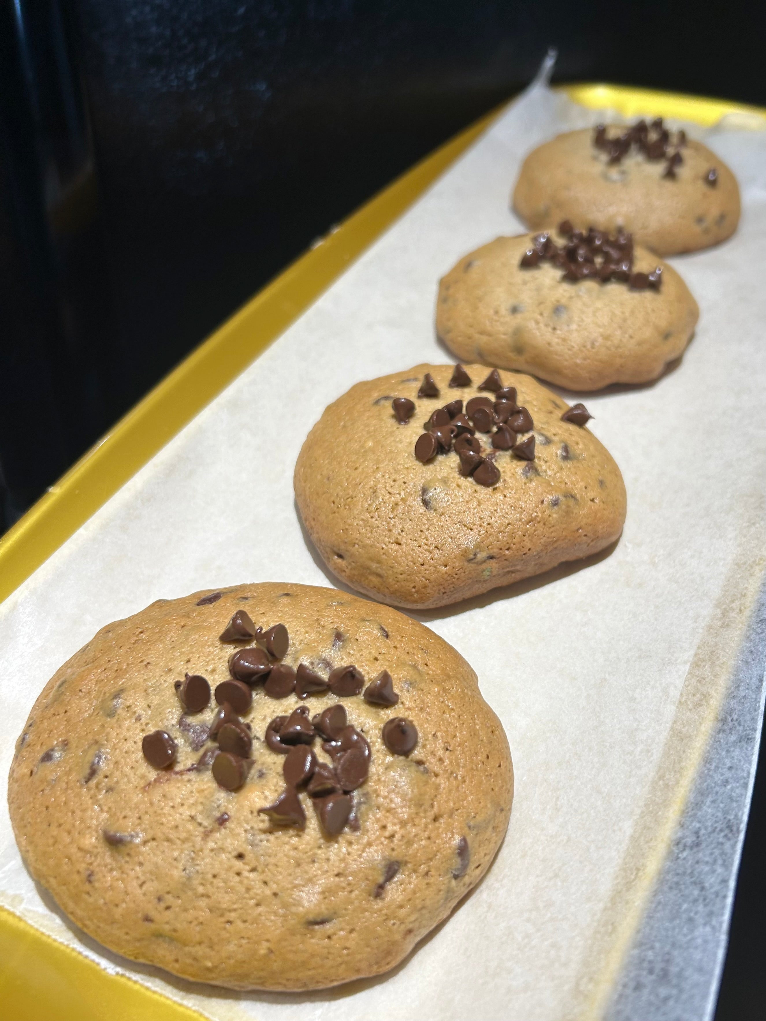 Chocolate Chip Cookie 🍪