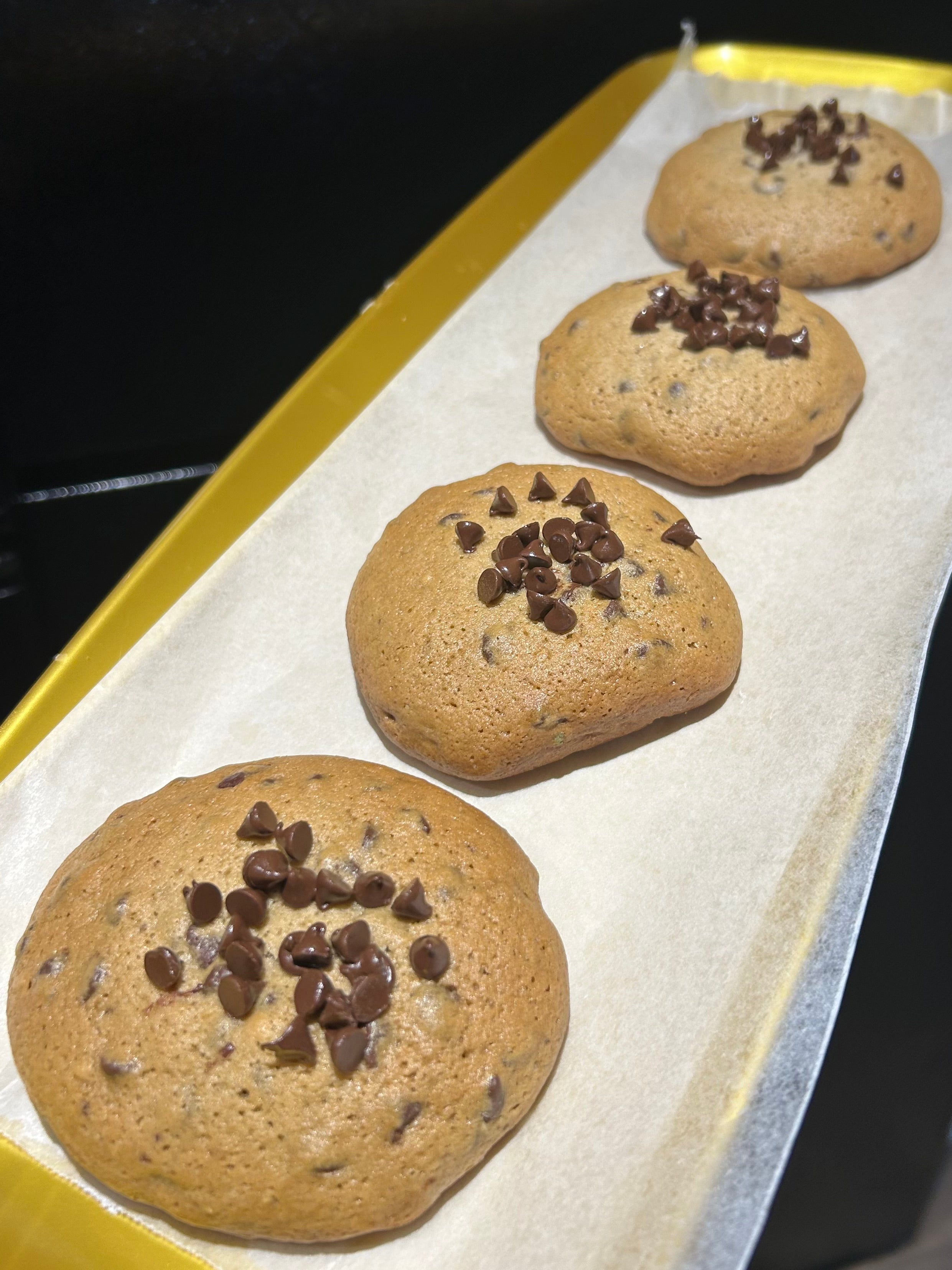 Chocolate Chip Cookie 🍪