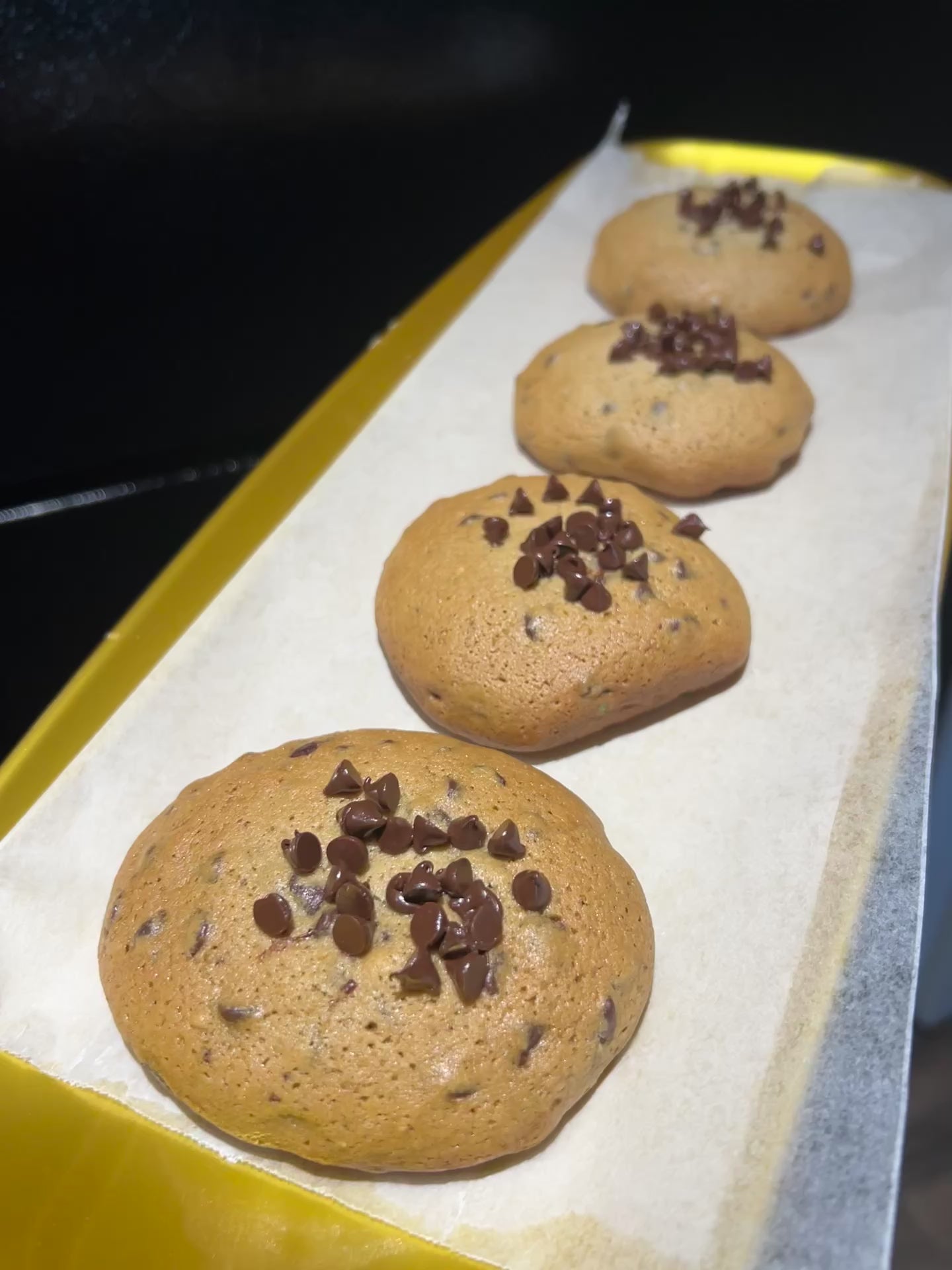 Chocolate Chip Cookie 🍪